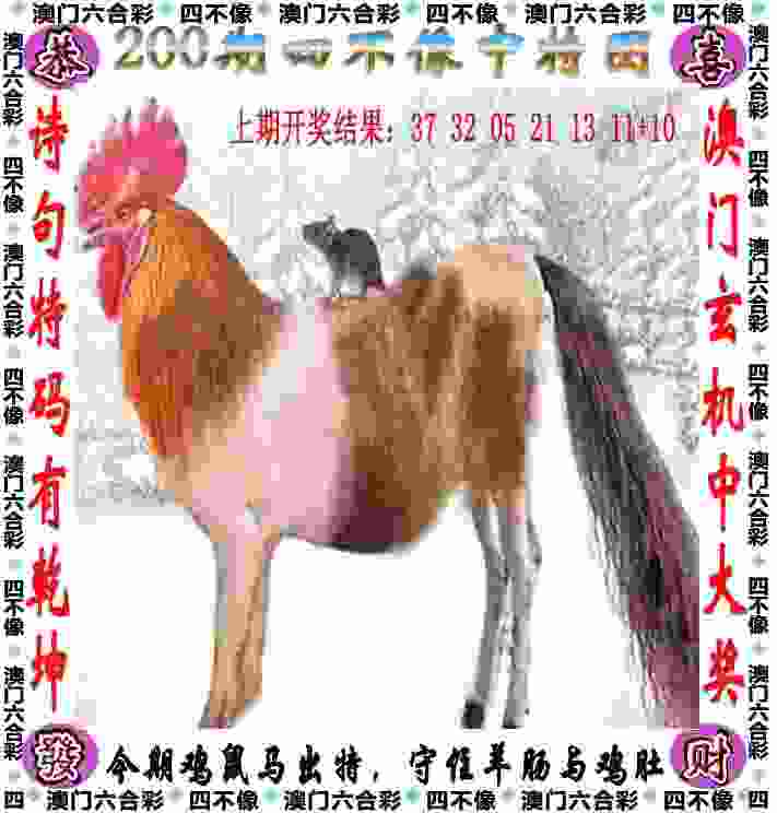 777888精准管家婆四肖下载官方版 -77777888888管家婆网小米渠道服下载 v6   .81   .965   -2278安卓网