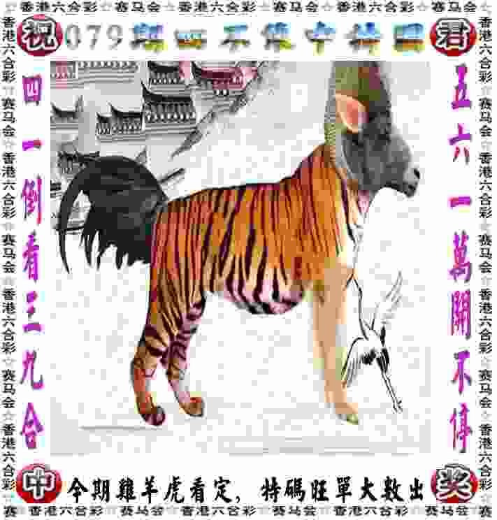 NBL半决赛：安徽文一淘汰陕西信达杀进总决赛